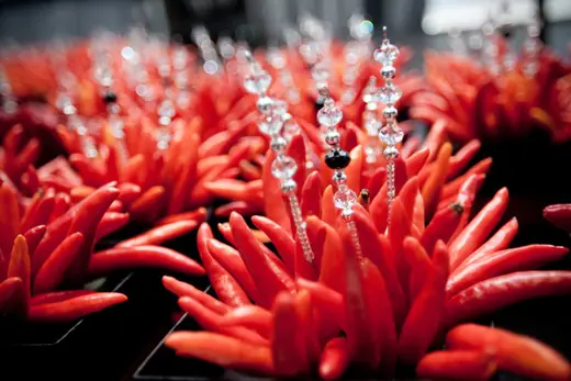 Platinum Events Namibia flower arrangements showcase